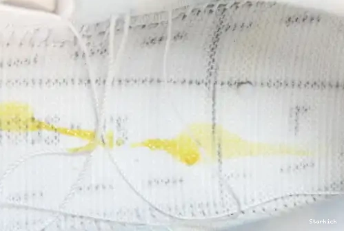 Low Family) and (Friends  Dunk FD8776-100 Nike White  Lobster SB 0704